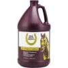 Horse Health 2-in-1 Shampoo And Conditioner Gallon -Sports-Equestrian Supplies 100505216 nwfmzfc3llvlyozc