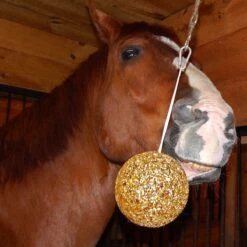 Uncle Jimmys Hangin Ball Horse Treats