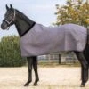 Back On Track Haze Collection Therapeutic Horse Show Quilted Rug 1 Back On Track Haze Collection Therapeutic Horse Show Quilted Rug -Sports-Equestrian Supplies 2112c c1125 qazwhvkhaq8uxvts