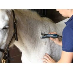 Oster® Oster CryogenX Detachable Clipper Blade 10 Wide -Sports-Equestrian Supplies 238w 2 rspoukpb1tjffr6c