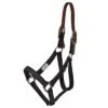 Flexible Filly Turnout Halter 2 Flexible Filly Turnout Halter -Sports-Equestrian Supplies 3004h c1105 3ehgjd6lvwkh8xnd