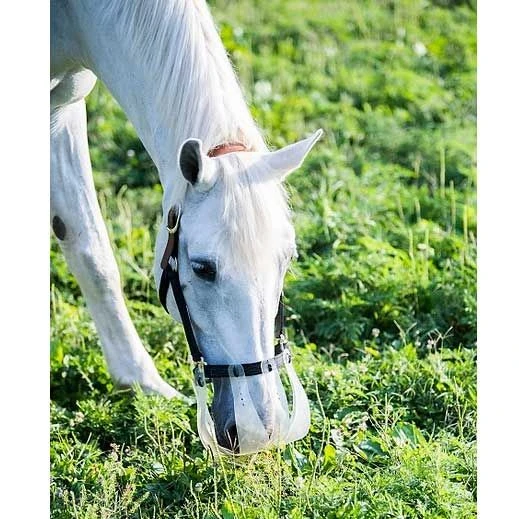 Flexible Filly Turnout Halter 4 Flexible Filly Turnout Halter - Image 2