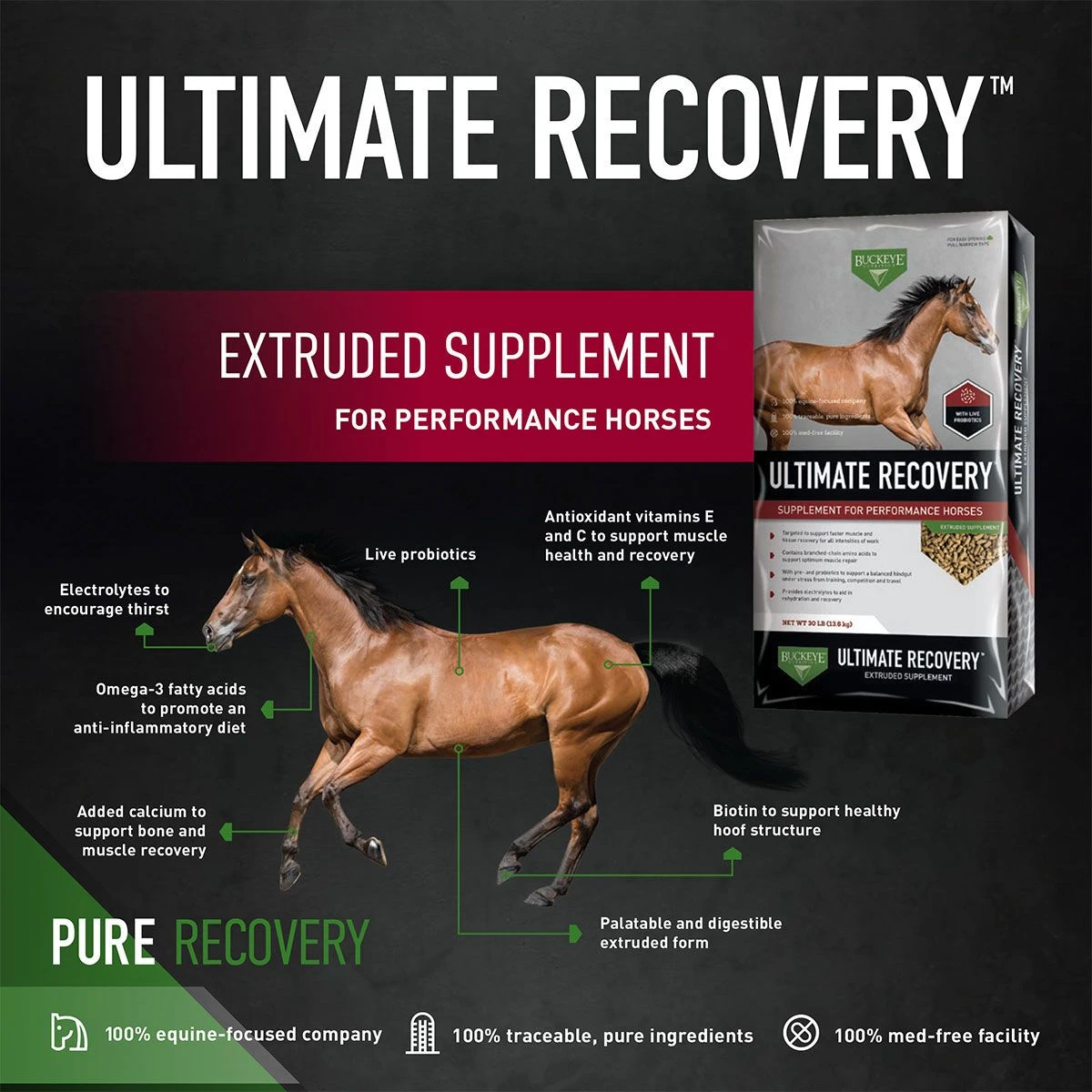 Buckeye Nutrition Ultimate Recovery 30 Lb 4 Buckeye Nutrition Ultimate Recovery 30 Lb - Image 2