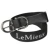 LeMieux Elasticated Belt -Sports-Equestrian Supplies 358lm b c1105 l2kosvczzkggpopa