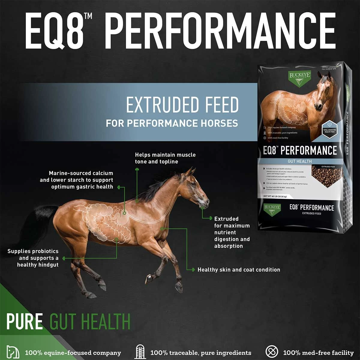 Buckeye Nutrition EQ8 Performance Gut Health Extruded Feed 40lb 4 Buckeye Nutrition EQ8 Performance Gut Health Extruded Feed 40lb - Image 2