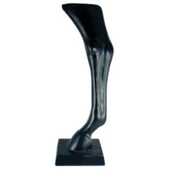 Davis Horse Leg Hind Display Black