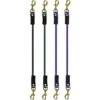 Stall Tie Bungee Brass Snap - 31 Inch -Sports-Equestrian Supplies 4318b c1105 bjqxjufozrhsjlid
