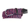 Ovation Multi-Tone Braided Stretch Belt