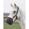 Shires Deluxe Comfort Grazing Muzzle 2 Shires Deluxe Comfort Grazing Muzzle -Sports-Equestrian Supplies 495nfs nigdqzlagumjora6
