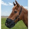 Tough 1 Easy Breathe Grazing Muzzle -Sports-Equestrian Supplies 52966 c1105 aearyevqfd0ndn36