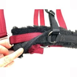 GreenGuard Fleece Converter Set For Standard Halter 8 GreenGuard Fleece Converter Set For Standard Halter -Sports-Equestrian Supplies 61374 f 3 gzejfwpscc0umfgk