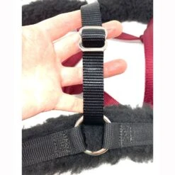 GreenGuard Fleece Converter Set For Standard Halter 9 GreenGuard Fleece Converter Set For Standard Halter -Sports-Equestrian Supplies 61374 f 4 joq2dsjpmagj7vps