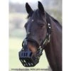 GreenGuard Grazing Muzzle 2 GreenGuard Grazing Muzzle -Sports-Equestrian Supplies 61374 c1105 1