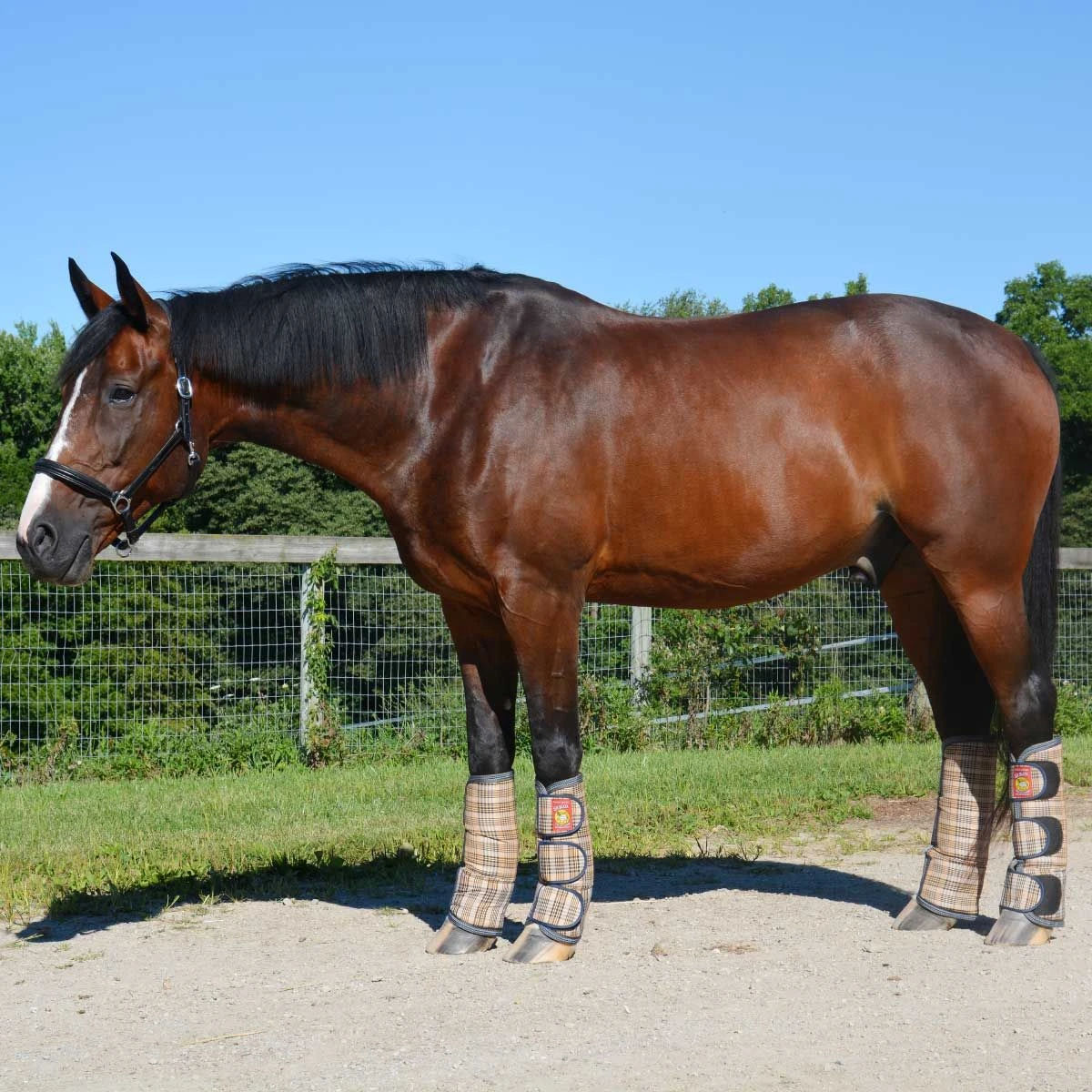 5/A Baker Transport Boots Set Of 4 4 5/A Baker Transport Boots Set Of 4 - Image 2