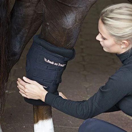 Back On Track Therapeutic Padded Hock Wraps - Pair 6 Back On Track Therapeutic Padded Hock Wraps - Pair - Image 4