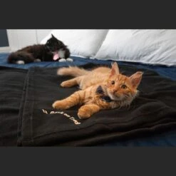 Back On Track Ceramic Fleece Blanket For Humans Small Small Black -Sports-Equestrian Supplies 7965c c1105 alt2 i0wmqqjn1iw7tryk