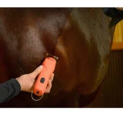 Wahl KM Cordless 2 Speed Clipper Kit 11 Wahl KM Cordless 2 Speed Clipper Kit -Sports-Equestrian Supplies 9596 100 c1156 alt4 phloyxlqjnsnh074