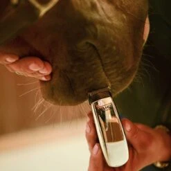 Wahl Super Pocket Pro Compact Trimmer -Sports-Equestrian Supplies 996158 3 5jw3x7u3tmd84hgm