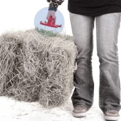 Reinsman Bale Handle -Sports-Equestrian Supplies bh1001 4 cshknjo4bhjoa9ju