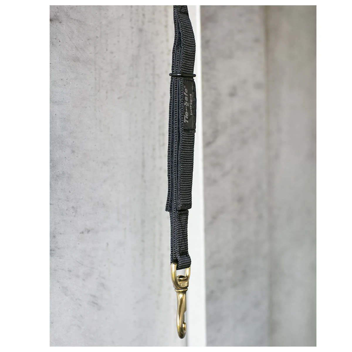 Tie Safe Safety Trailer Tie Each 4 Tie Safe Safety Trailer Tie Each - Image 2