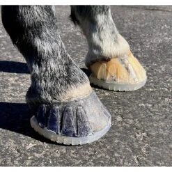 EasyShoe Versa Grip Octo Front Shoe Pair -Sports-Equestrian Supplies esvgo 5 nq6jnuzsyqtpiwkr