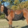 Cashel Fly Sheet Belly Guard -Sports-Equestrian Supplies fsbg xsfu1dgitauha5bu