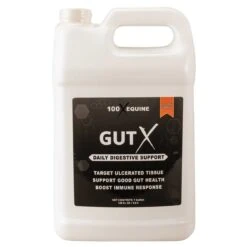 100x Equine Gut X Gallon