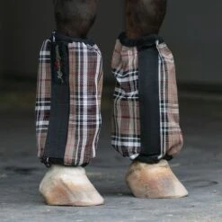 Kensington BubbleBoots Set Of 4