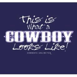 What A Cowboy Looks Like Toddler Boys Tee