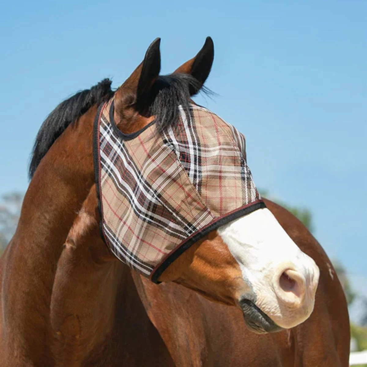 Kensington Signature Fly Mask With Web Trim 3 Kensington Signature Fly Mask With Web Trim