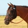 Cashel Quiet Ride Long Nose Fly Mask No Ears -Sports-Equestrian Supplies qrl czmxhwgveaebvies