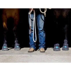 EasyCare Easyboot Cloud -Sports-Equestrian Supplies sbecld 5 cfc6vzsxqqun6gqd